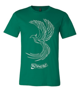 WIZARD RUN PHOENIX - VIRTUAL RUN/WALK