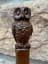 Owl Wand